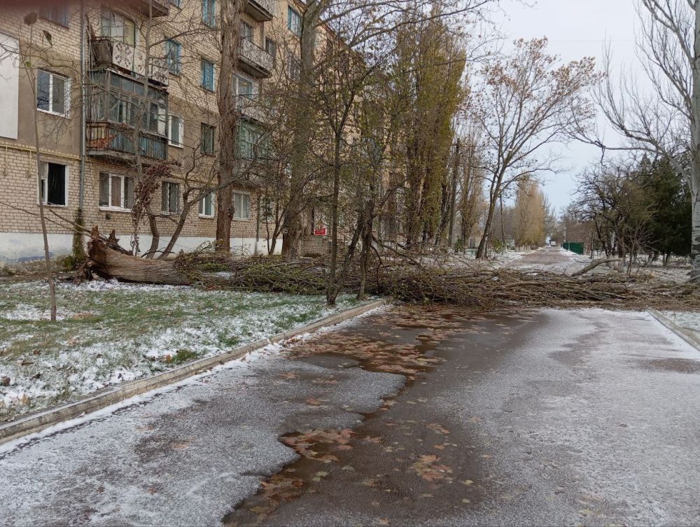 � ���.������� ������������ �� ������������ ������ ���������� � ���������� ����������� ��������