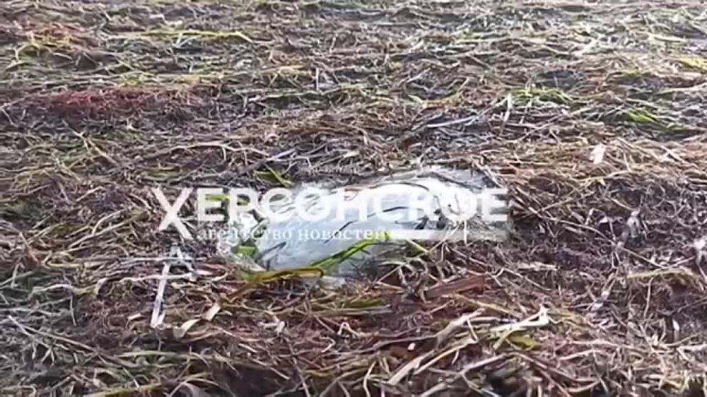 ���� � ��������� ������ �������� �� 40 � ����� ������