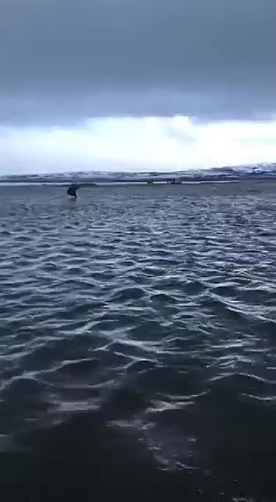 �� ������ �������� ���� ����� �� ������� � �������� ������� ��������