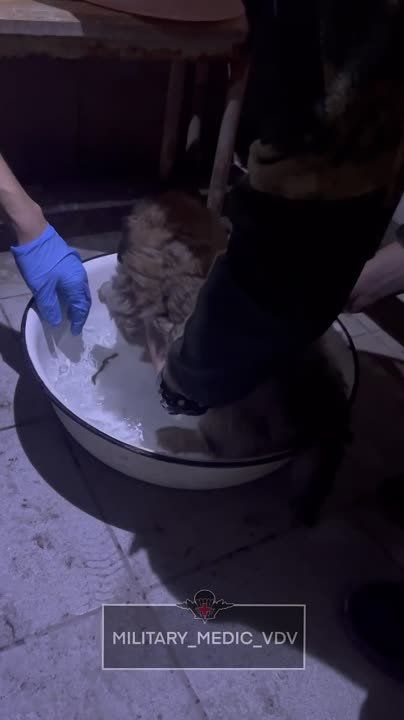 ���� �� �������: ����������� "������" � "������" ����� � ����� �������-�����������