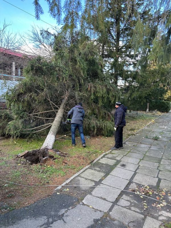 �� 28 ������ 2023 � ���������� ������������� ������ ������������ ������ �� �������������� ���������������, ��������� ���� � ���������