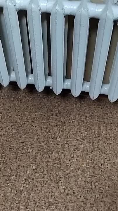 ���� ��������� ��������� ���� ������ � 86-������ �������