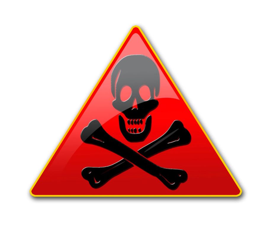 ������ � �����: ���� �������� �������� ������� ���������