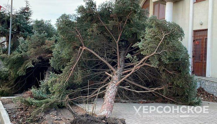 ������� ���������� ������� ������������ � ������� ����� �� 30 �/�