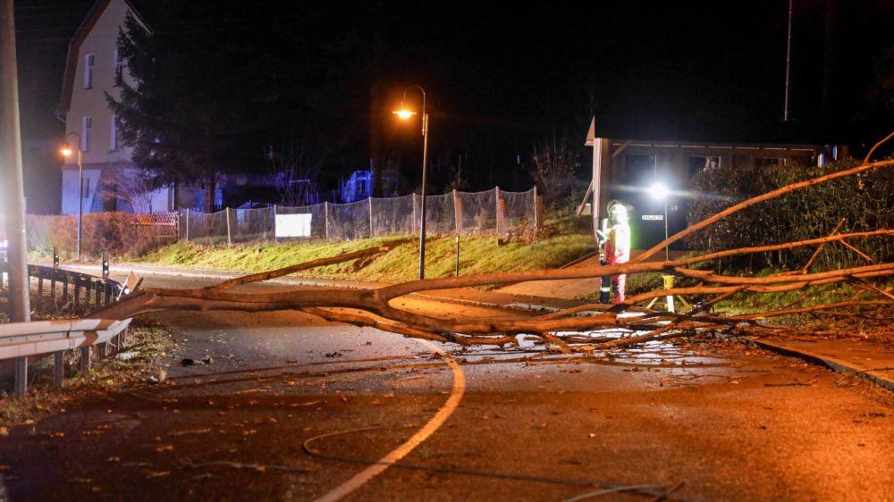 "����� ����" ����� ����� ����� � 490 ��� ������