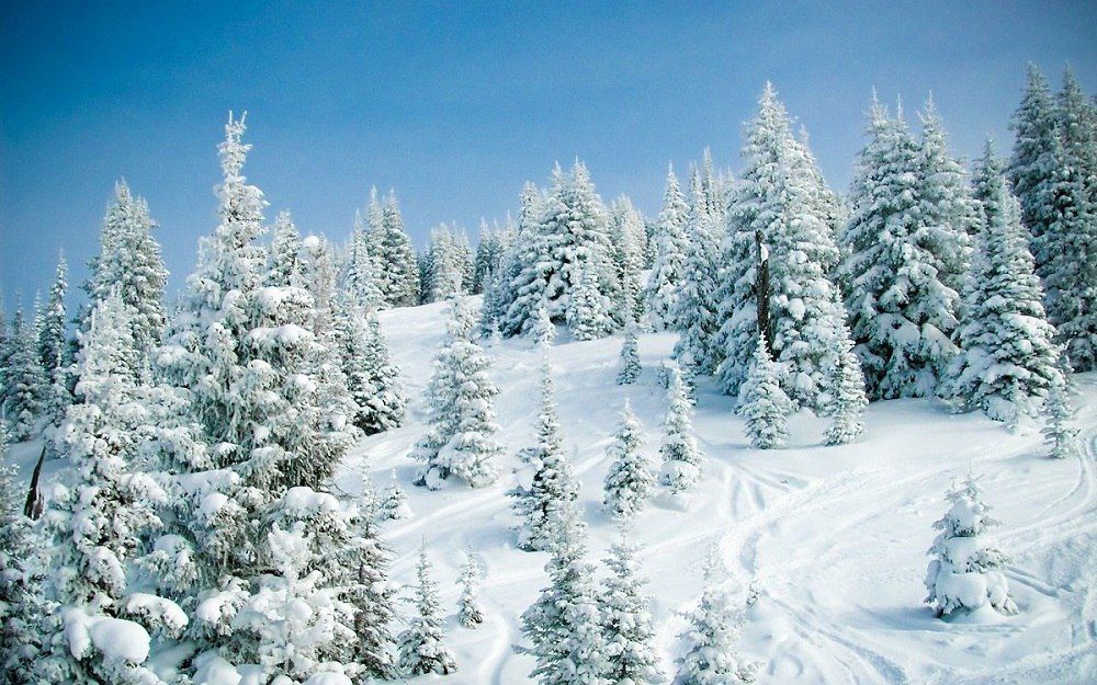 ���������, �������� � �������������: �������� �������� ��������� � ���������