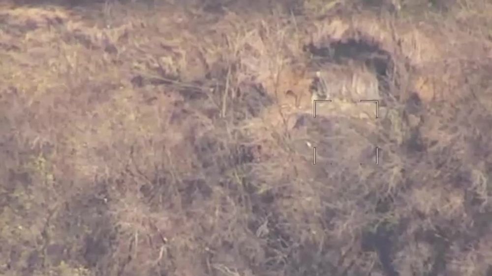 ��������� ���� ���������� �������������� ������ ��� �� ��������������� ������� ������� � ���������� � ������ ������������