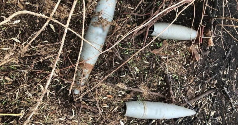 �� ������� ���� ���������� ���������� ������� ���������� �������������� �������