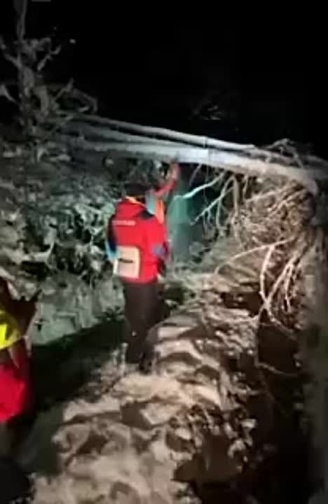 � ������� ������� ����� ��������, ������������ � �����