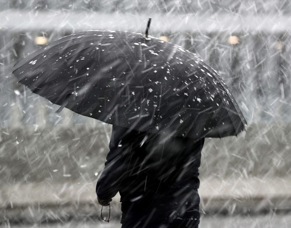 ��������� ��������������. � ���������� ������� ����� � ����� ������� ������������ �����