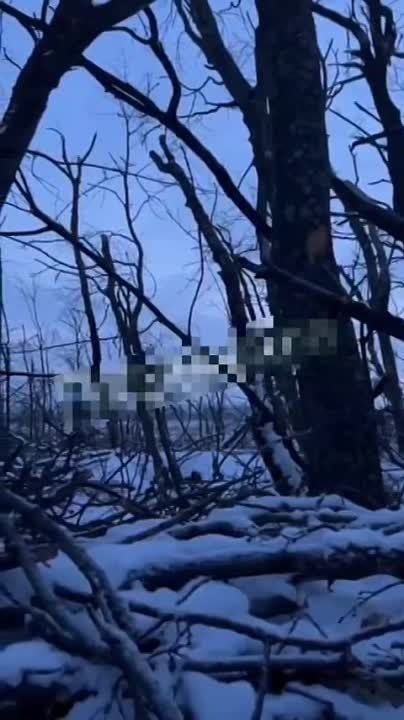 �������� ����, ��� ������ ���� �� ����� ������ �������, �������