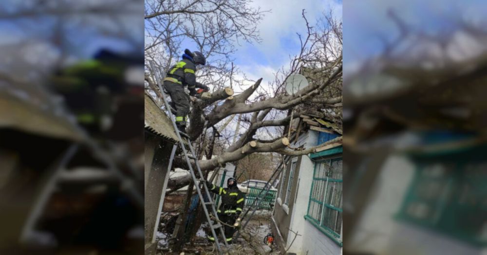 ���������� ��������� ������� ������ ��������� ������ ��� �� �����