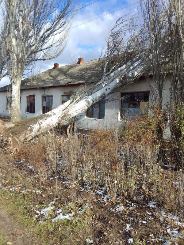 � ����������� ������������� ������ ���������� ��������� ����������� ��������