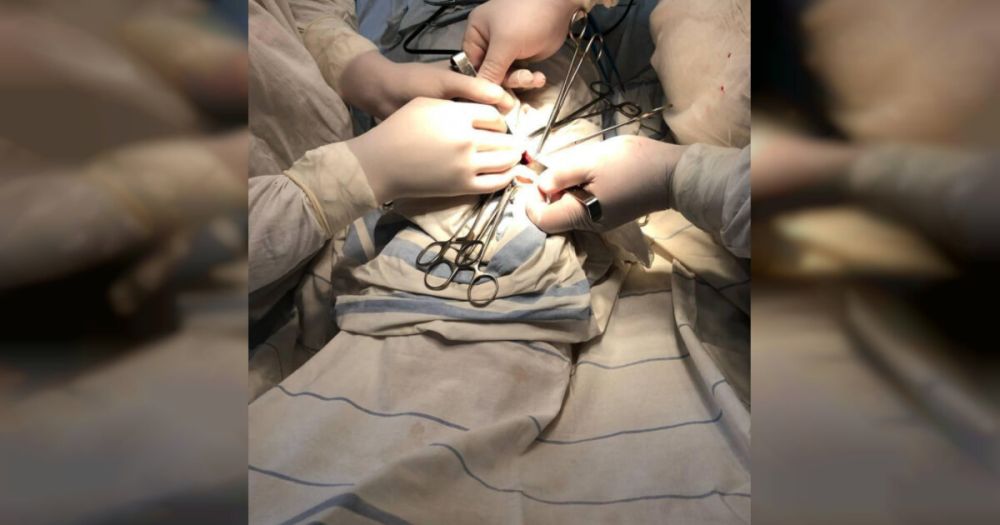 ������� ������� �� ���������-�������� ������� � ���������� ��������