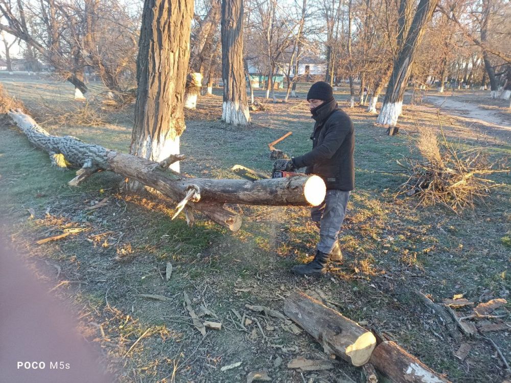 � ����������� ������������� ������ ������������ ������ �� ���������� ����������� ��������