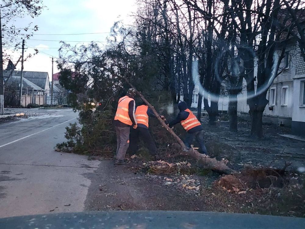 ����� ����������: ������ ���� ������ ��������� ������� ������ � ���������� �������