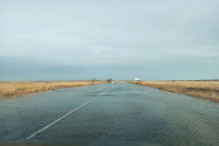 ����� �� 14 �/� � ��������� ����� ��������� 28 ������ � ���������� �������