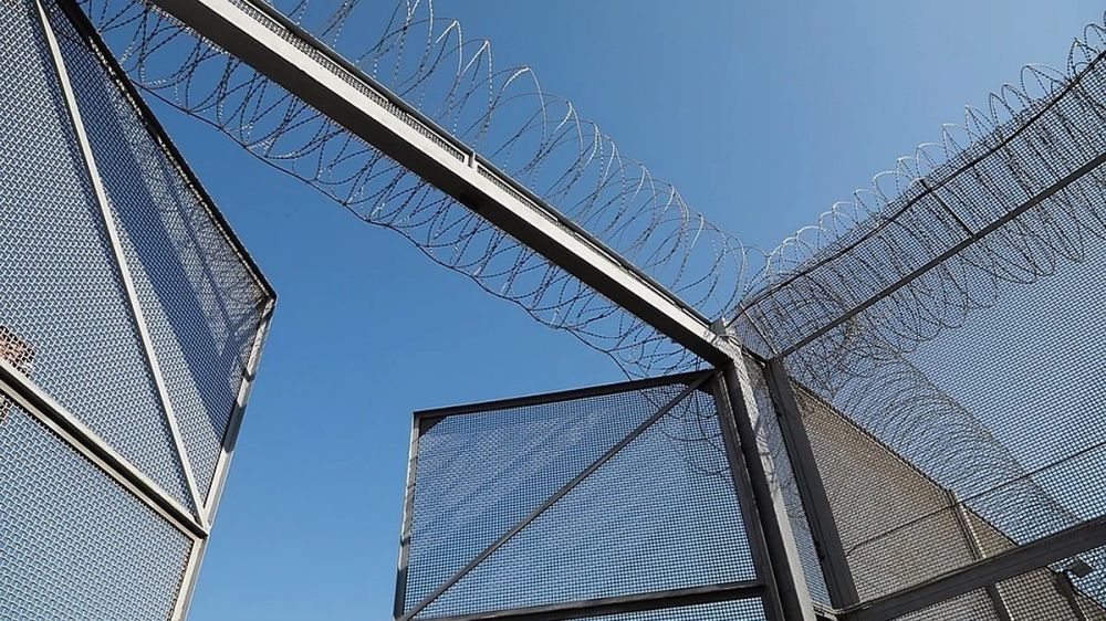 �� ������ ����� �������� ���� �������: � ����� �� 24 ���� �������� ������