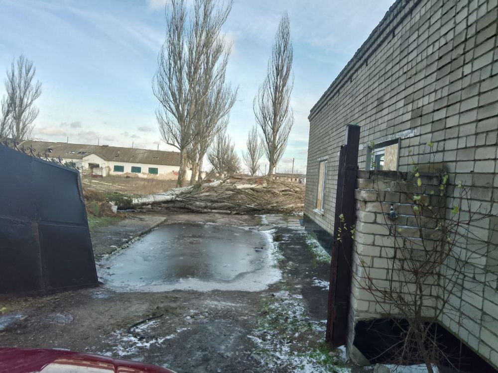 � ������������� ��������� ������ ���������� ��������� ����������� ��������