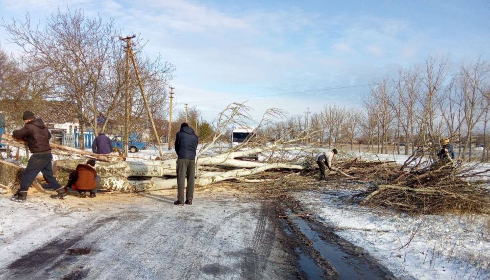 ������ ��������: ��� �������� ����� �� ���������� ��������� � ���������� �������