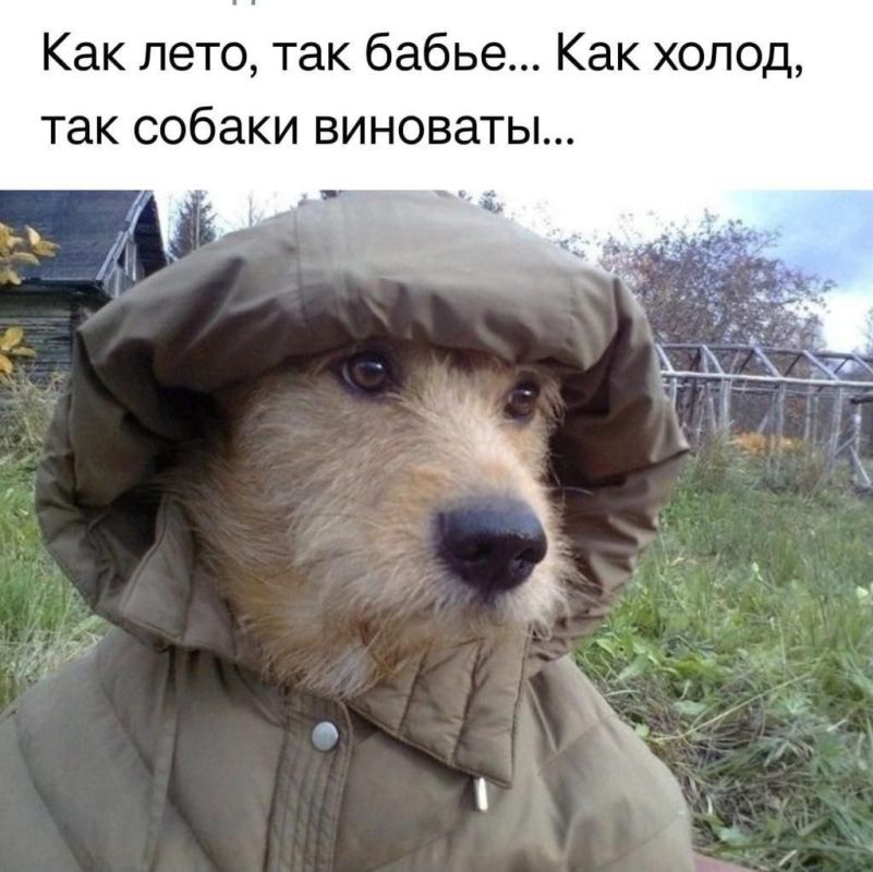 ��� ����� ��������� �� ��������..