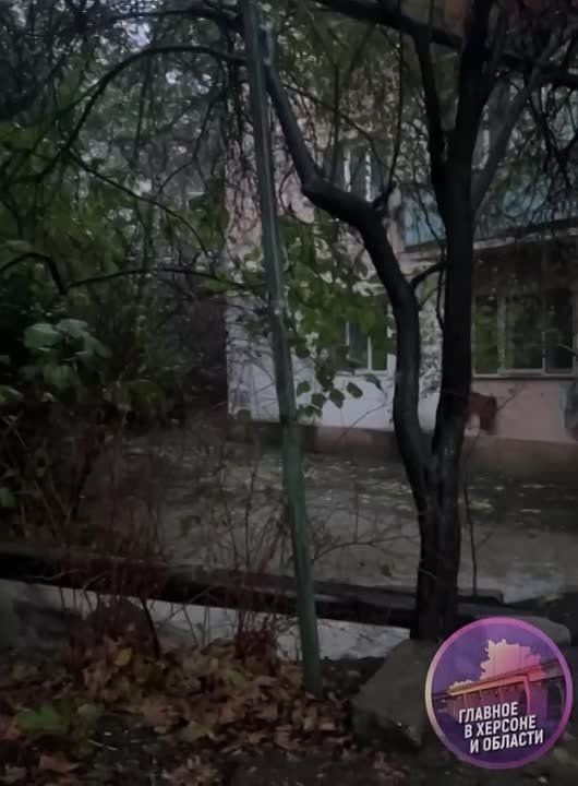 �� ���� ������������ ��� ����� ������������ �������� � ����� ������ � 15 ������������� ������������ � �������