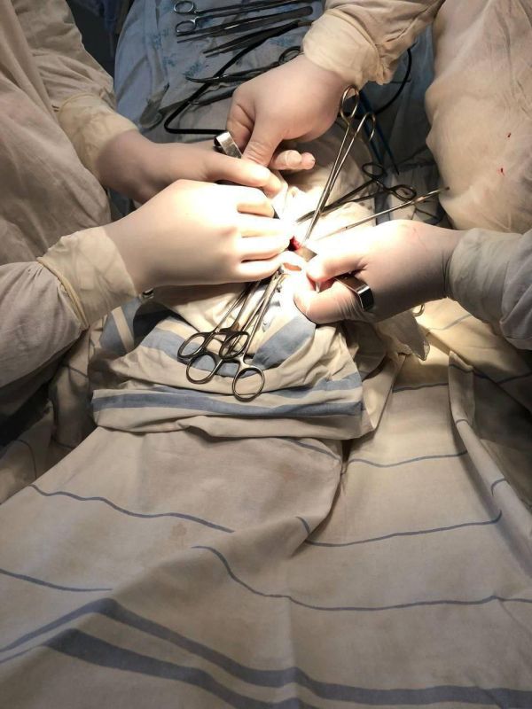 ����� �� ���������-�������� ���������� ��������� ������ ������� ���������� �������