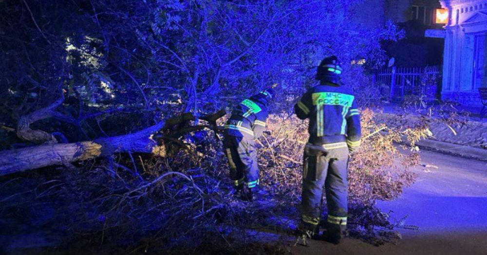 ������: ������������� ��� � 40 ���������� ������� ���������� �������