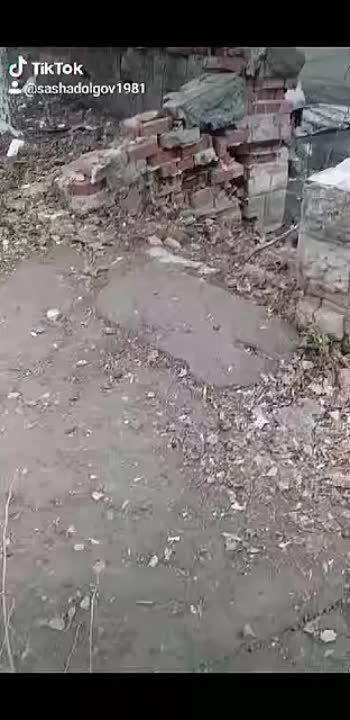 �������������� �� �� ���������� ���������� �������� �� ���������� �����������