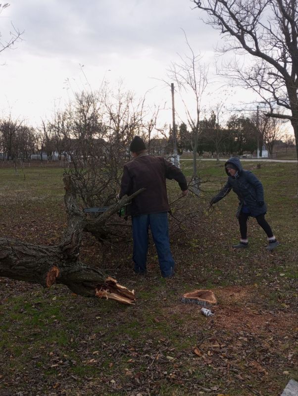 � ���������� ����������� ������ ��������� ����������� ��������