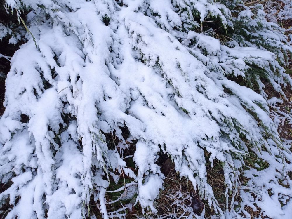 � ������ �����, �����������!