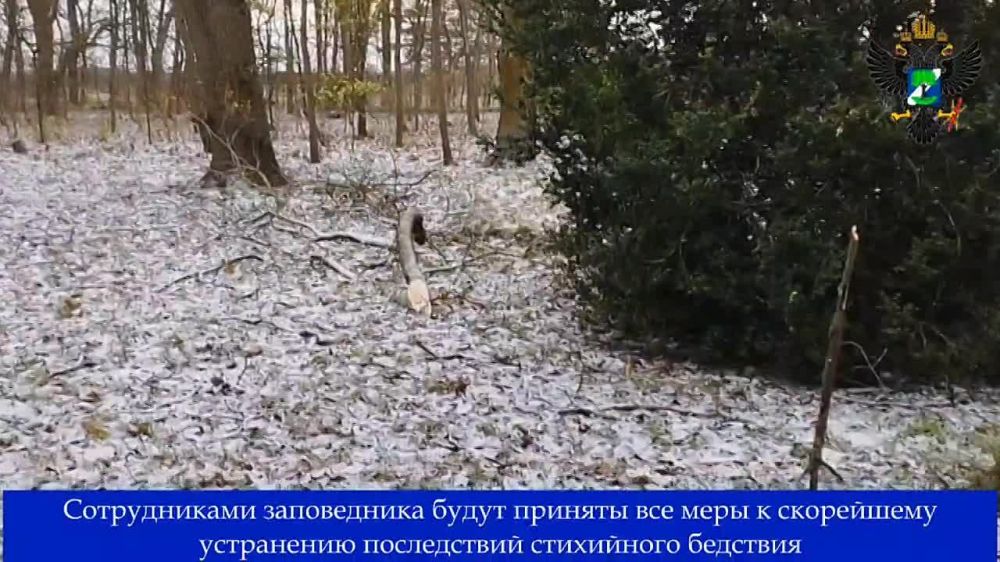 � ��� ����������� ���������� ��������-����� ��������� ����������� ������� ���������