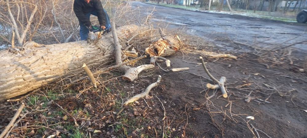 � ����������� ������ ���������� �������� � ������������� "��������"