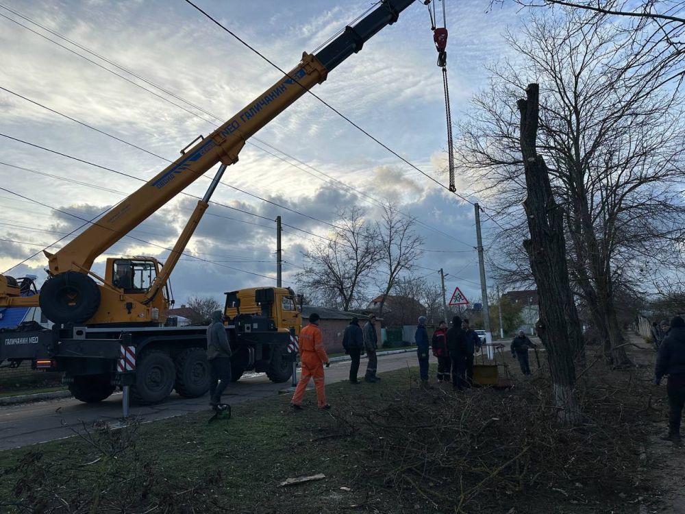 ����� ����������: ����� 2000 �������, ������������ �� ������, �������� ���������� ������ ������ �� ������� ������ � ���������� �������