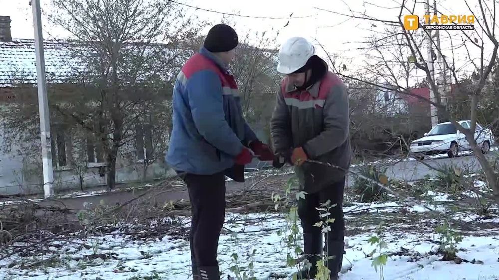 � ��������� ������������ ������ � ������������� �������