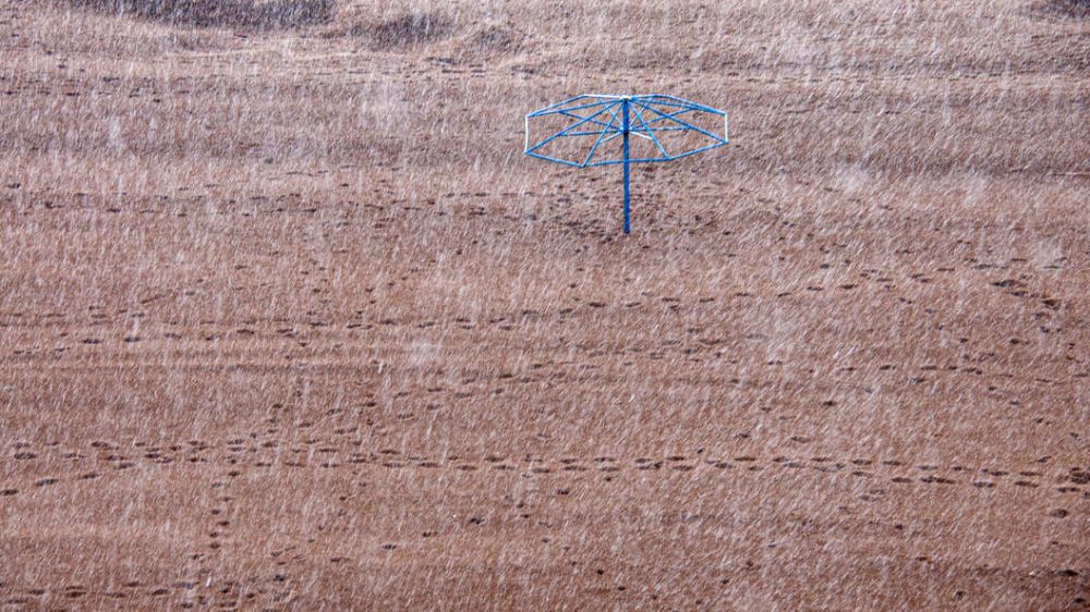 �������� � ������ ��������� ��������� ����� ����