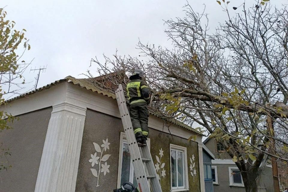 ������� ���������� ������� ������� � ��������� ���������� ����������� �������