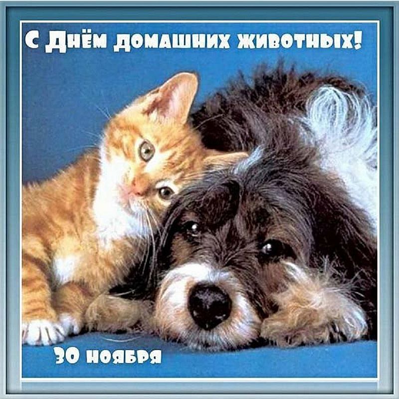 ��������, 30 ������ �� ���� ���� ���������� ��������� ���� �������� ��������