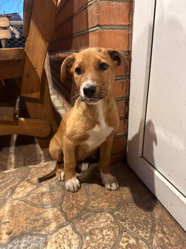 ������ ������ ��������� �������� "�����" ���������� ���� ������������ � ���������