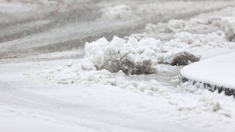 ����� ����� ��������: ������� ����������� �� ��������� � �������