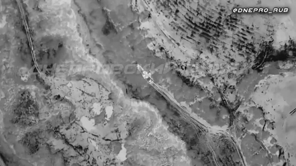 "������" ������� ����� ��� ����� ���. ���������� �����������