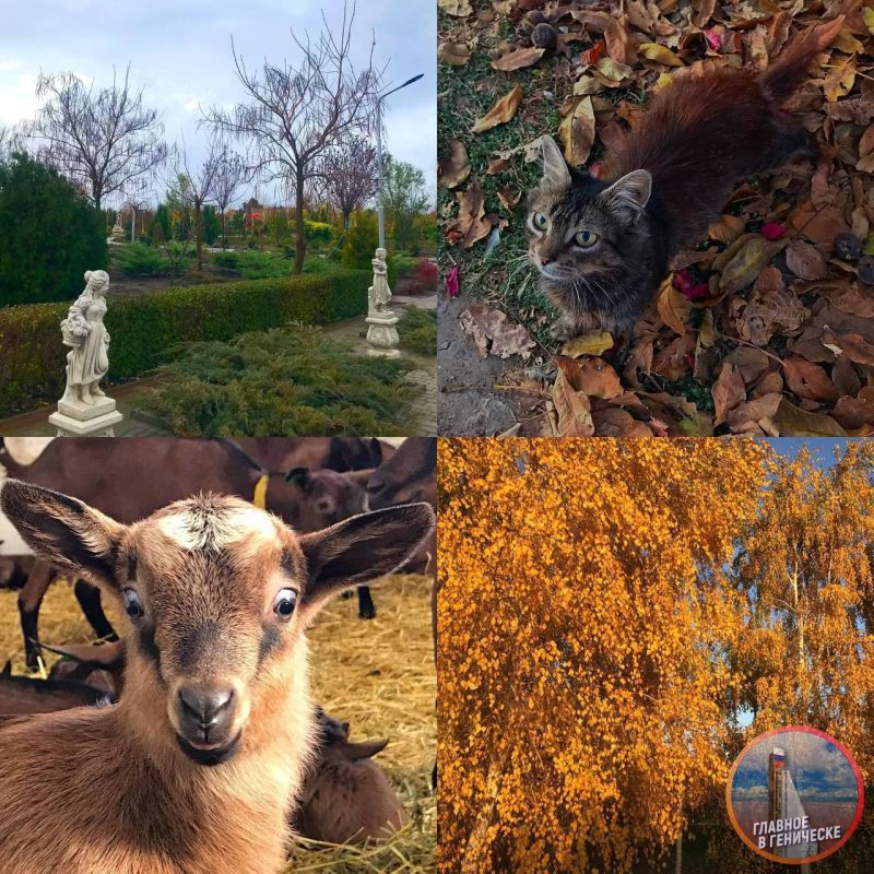 ��������� ������� ���� ����� ������ �������� ������������� �������������