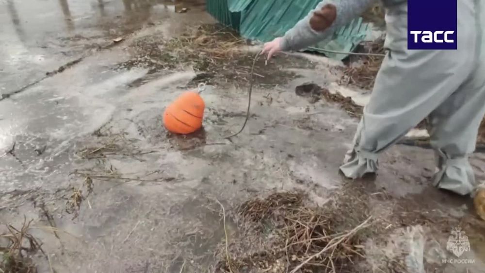 � ���������� ������� � �������� ������ ����� �������� ����� �������