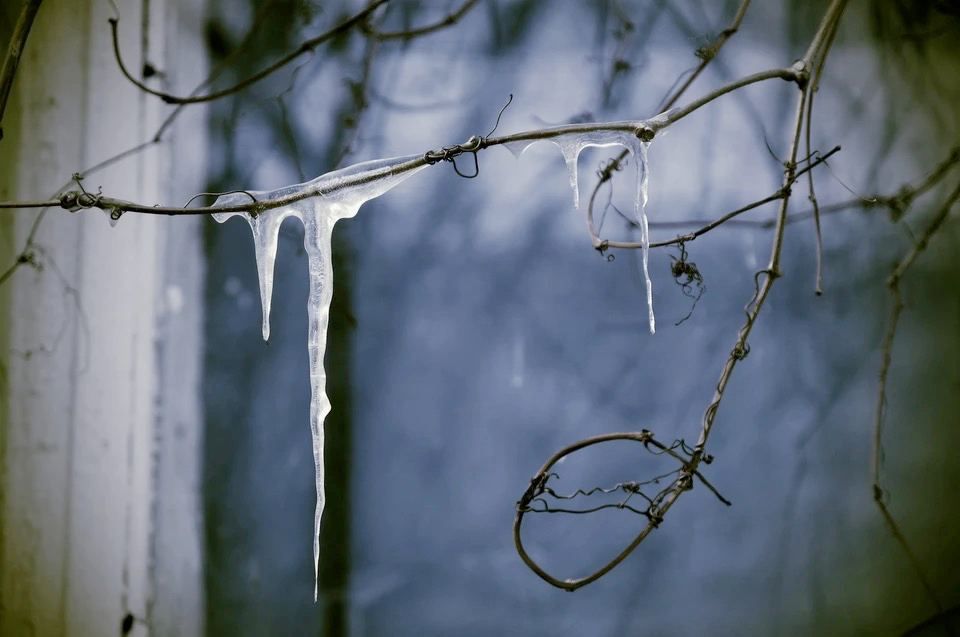 ����� �� 14 �/� � ��������� ����� ��������� 28 ������ � ���������� �������