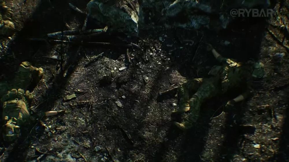 ������� ����� � ������� �����!