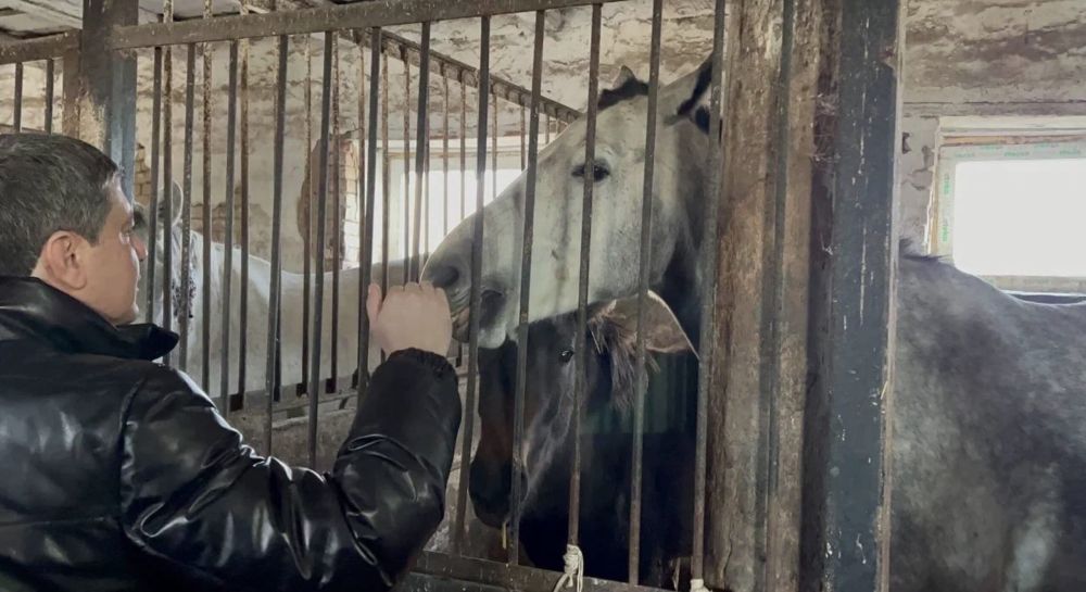 ������ ������ � ���������� ������� ��������� ������ �� ������ ������������ � ���������� ������ �����, �� � ��������