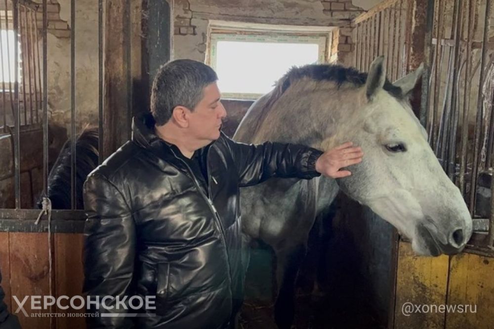 ������� ������� ��������� �� ��������� � ���������� ������� 6 ���� ����� ��� ��������