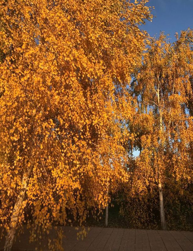 � ��������� ���� �����!