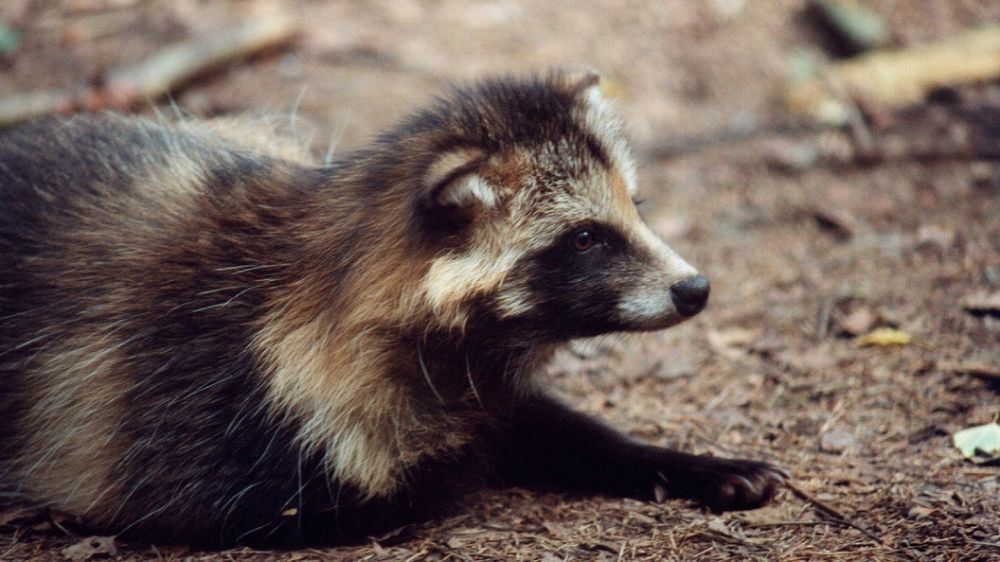 � �������� �� ���������� ������ ����� �������� ����� �������