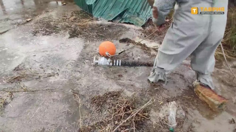 "������-����" �� ���������� ������� ��� �������� � ���������� ������